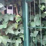 公寓 Hausele Sulzbach an der Murr